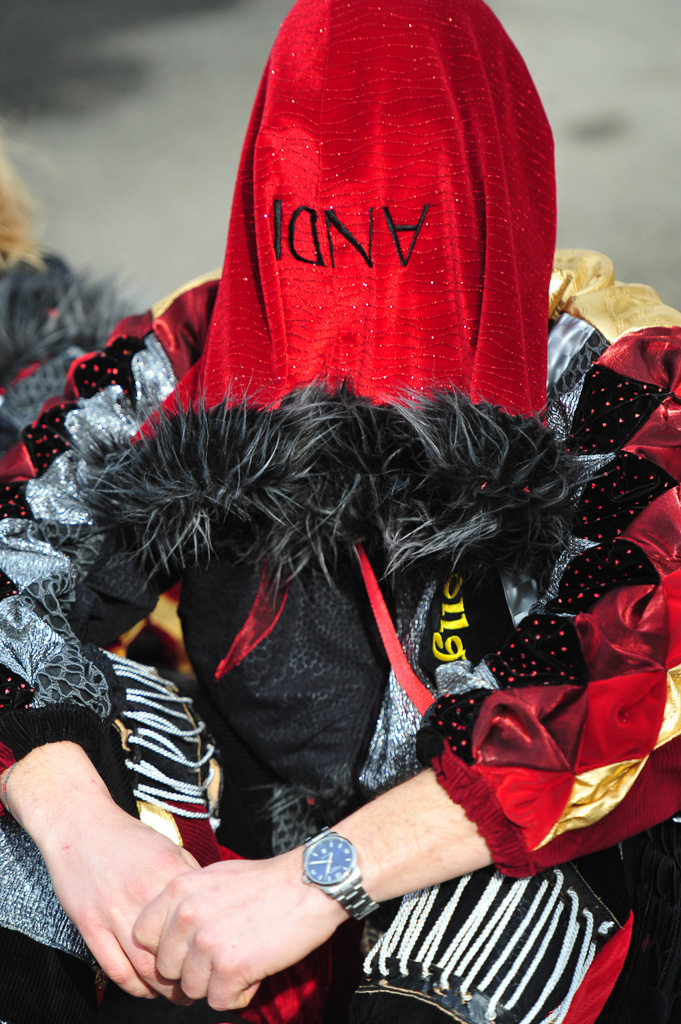 Umzug Hedingen 2015 / Hedingen - Zürich - Schweiz / 31.01.2015