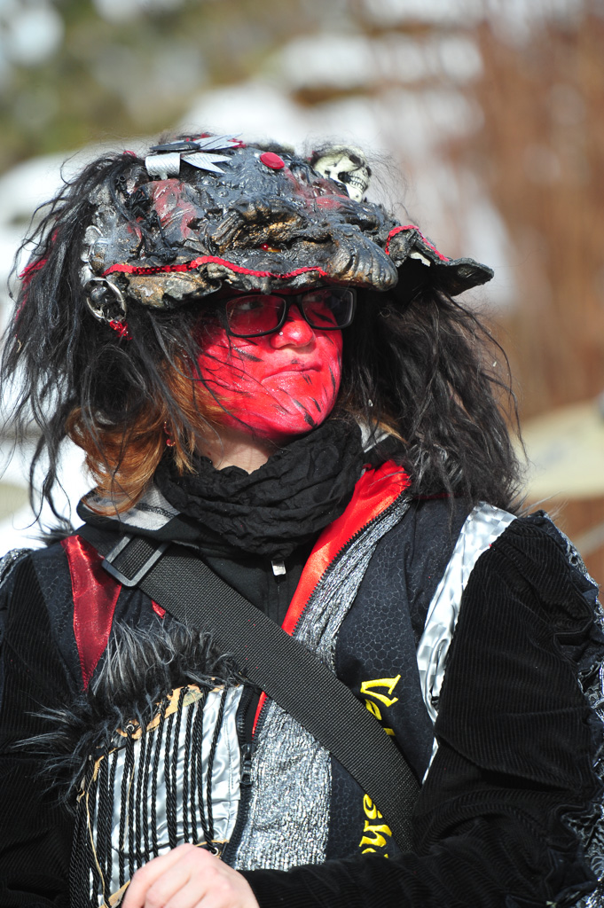 Umzug Hedingen 2015 / Hedingen - Zürich - Schweiz / 31.01.2015