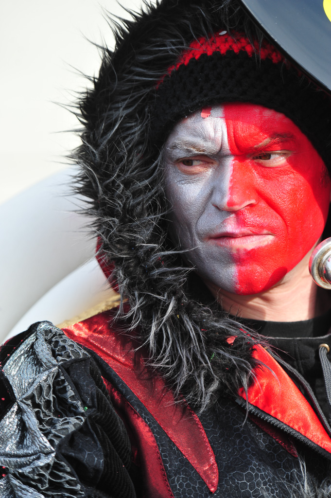 Umzug Hedingen 2015 / Hedingen - Zürich - Schweiz / 31.01.2015