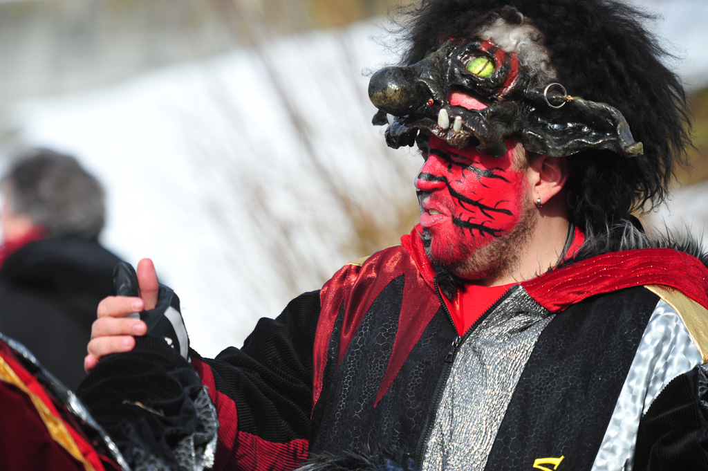 Umzug Hedingen 2015 / Hedingen - Zürich - Schweiz / 31.01.2015