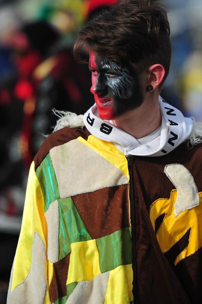 Umzug Hedingen 2015 / Hedingen - Zürich - Schweiz / 31.01.2015