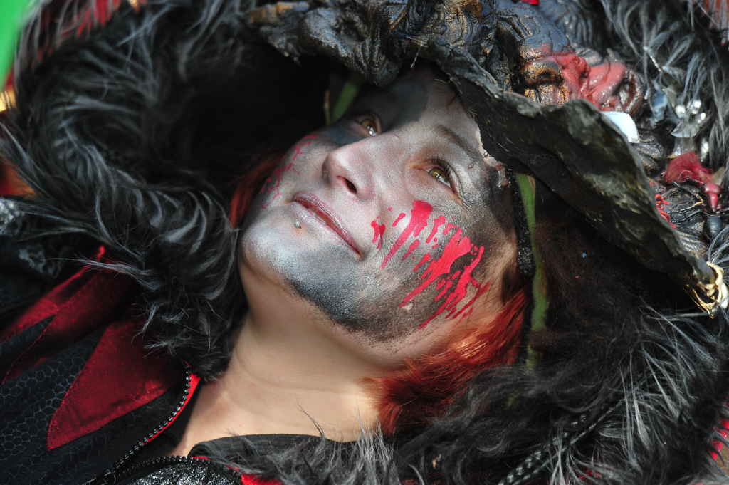 Umzug Hedingen 2015 / Hedingen - Zürich - Schweiz / 31.01.2015