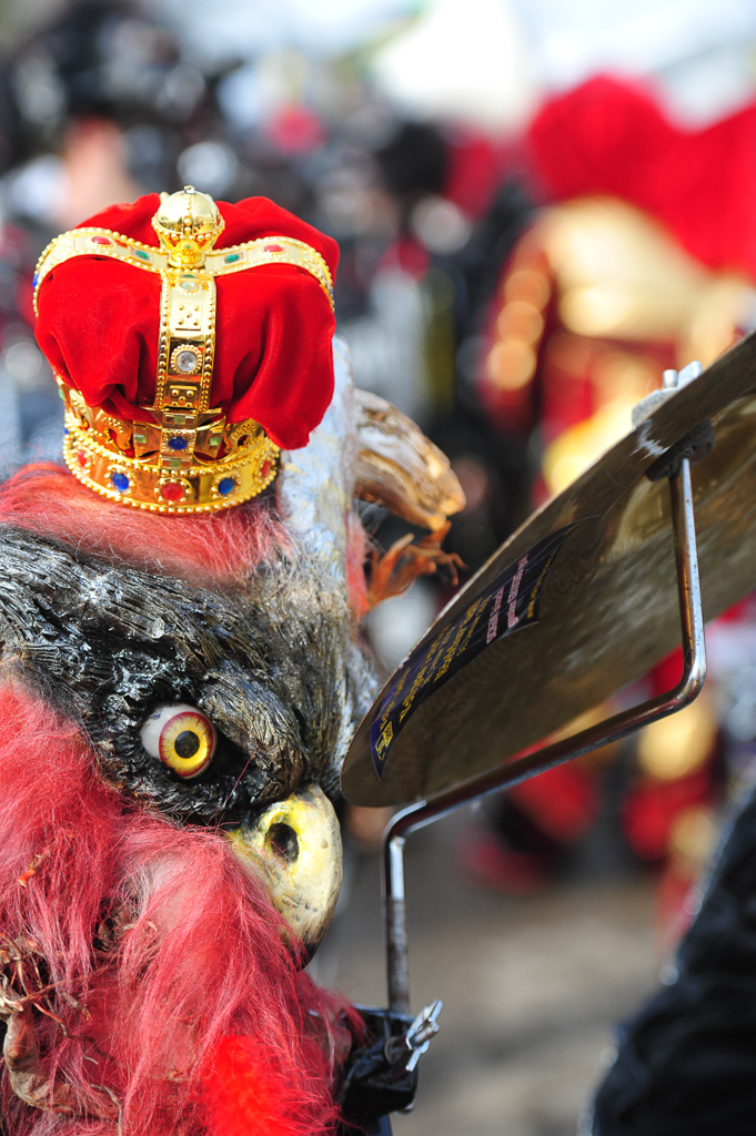 Umzug Hedingen 2015 / Hedingen - Zürich - Schweiz / 31.01.2015