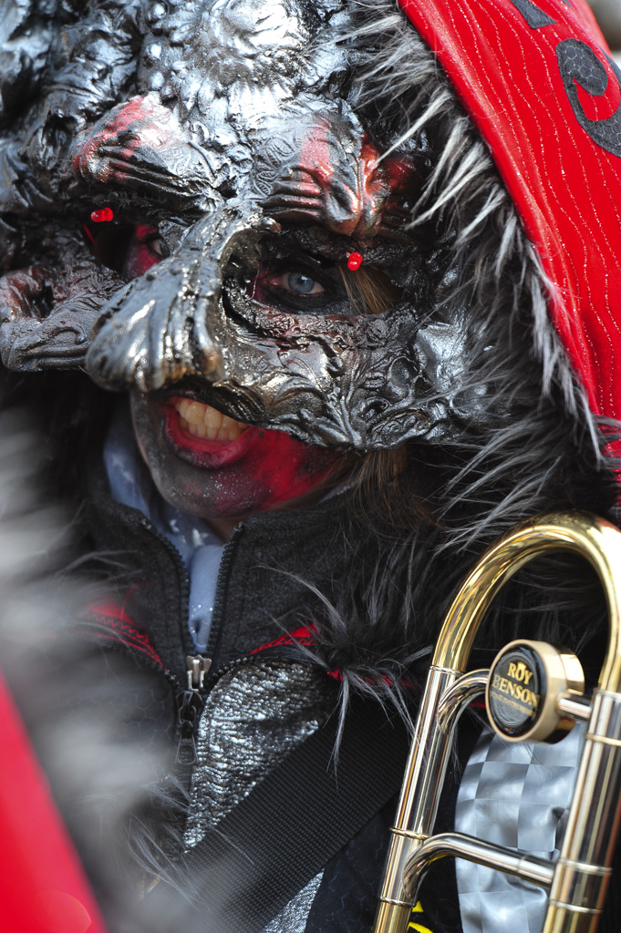 Umzug Hedingen 2015 / Hedingen - Zürich - Schweiz / 31.01.2015