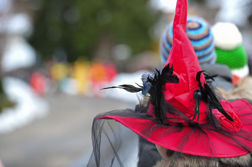 Umzug Hedingen 2015 / Hedingen - Zürich - Schweiz / 31.01.2015