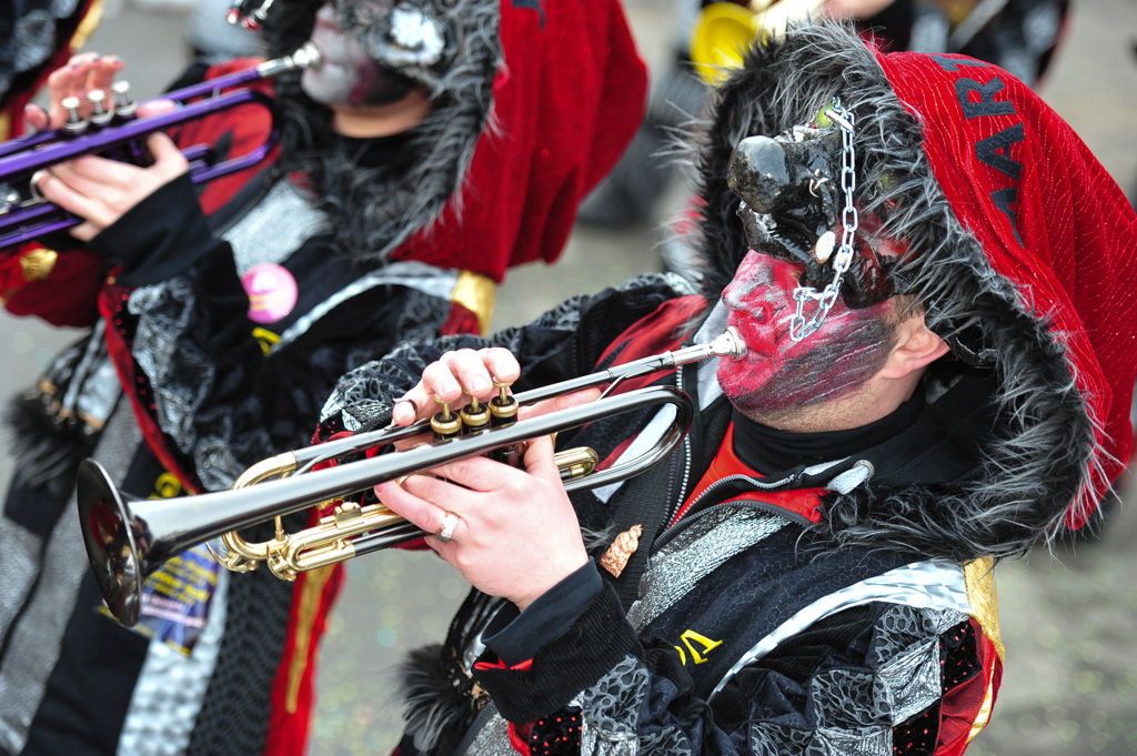 Umzug Hedingen 2015 / Hedingen - Zürich - Schweiz / 31.01.2015