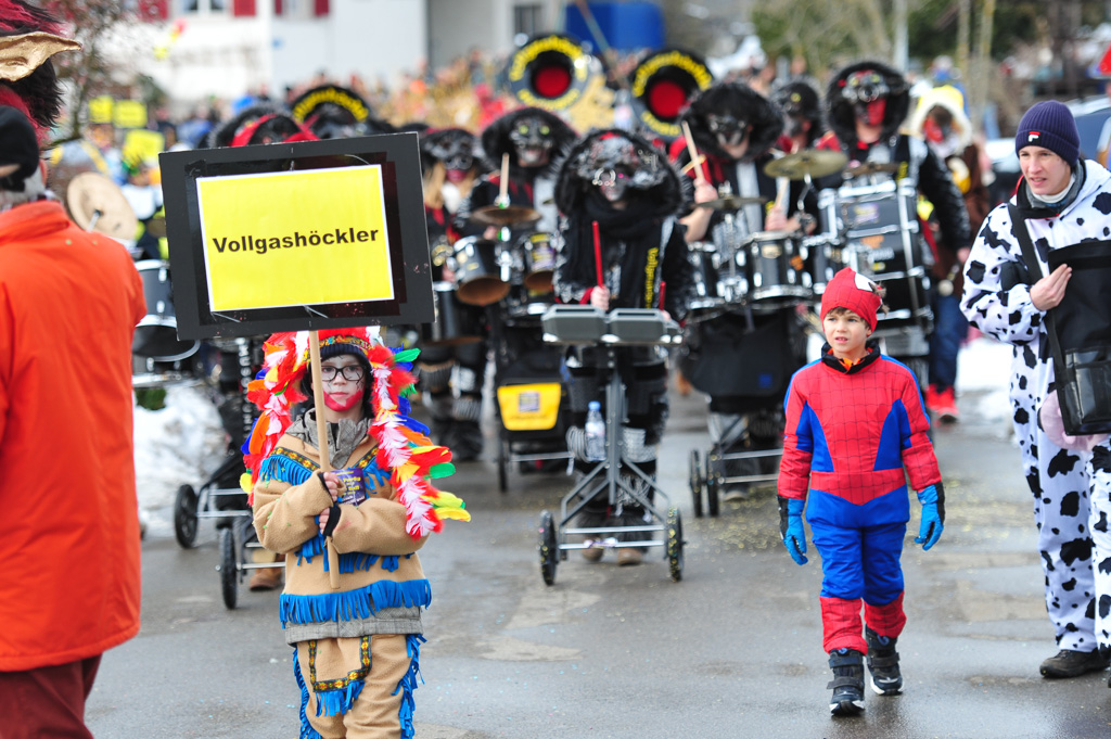 Umzug Hedingen 2015 / Hedingen - Zürich - Schweiz / 31.01.2015