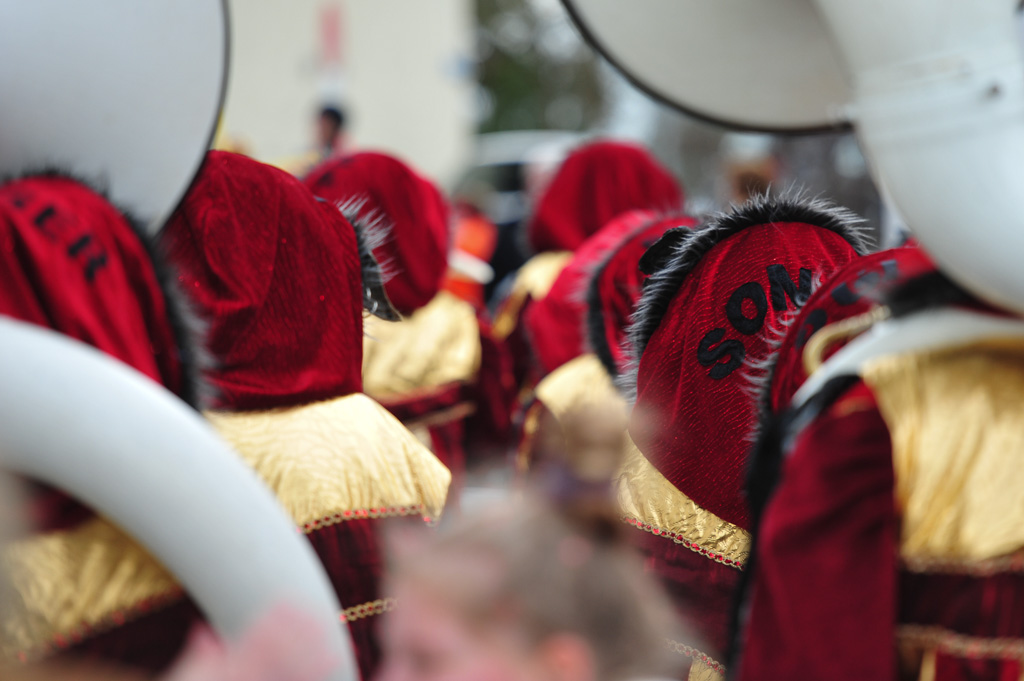 Umzug Hedingen 2015 / Hedingen - Zürich - Schweiz / 31.01.2015