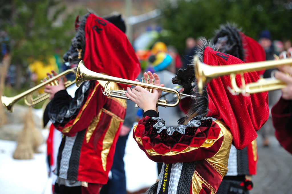 Umzug Hedingen 2015 / Hedingen - Zürich - Schweiz / 31.01.2015