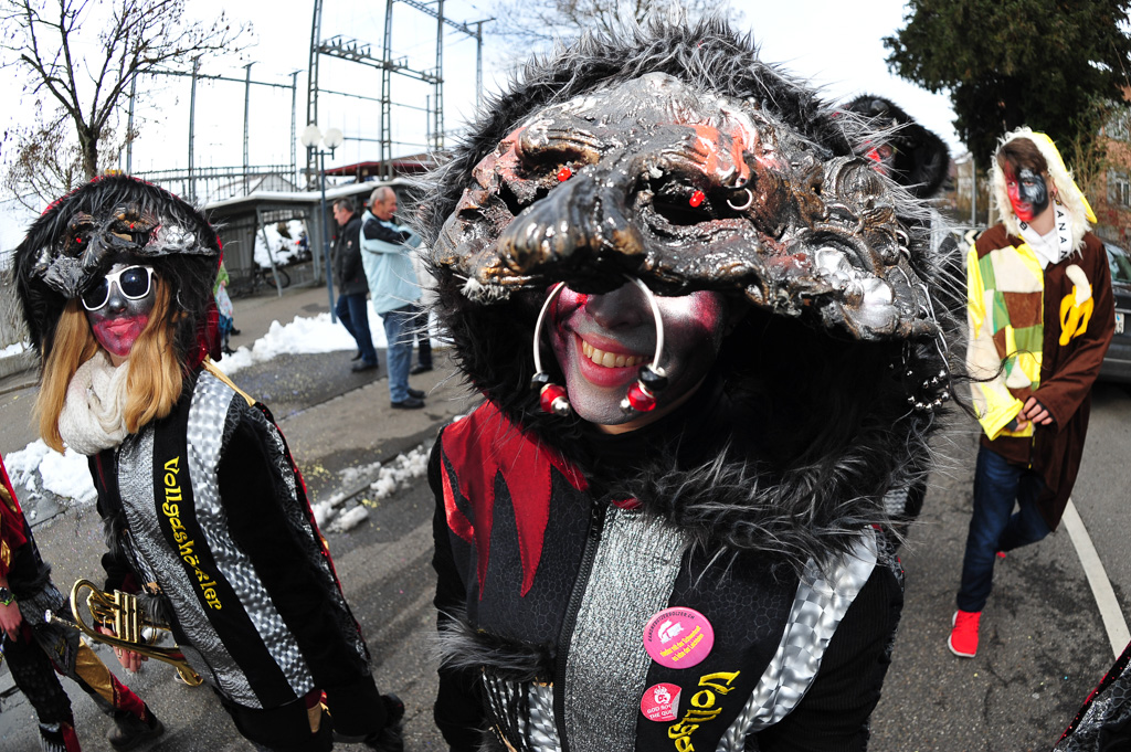 Umzug Hedingen 2015 / Hedingen - Zürich - Schweiz / 31.01.2015