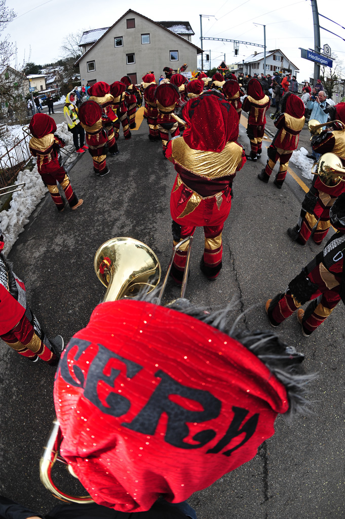 Umzug Hedingen 2015 / Hedingen - Zürich - Schweiz / 31.01.2015