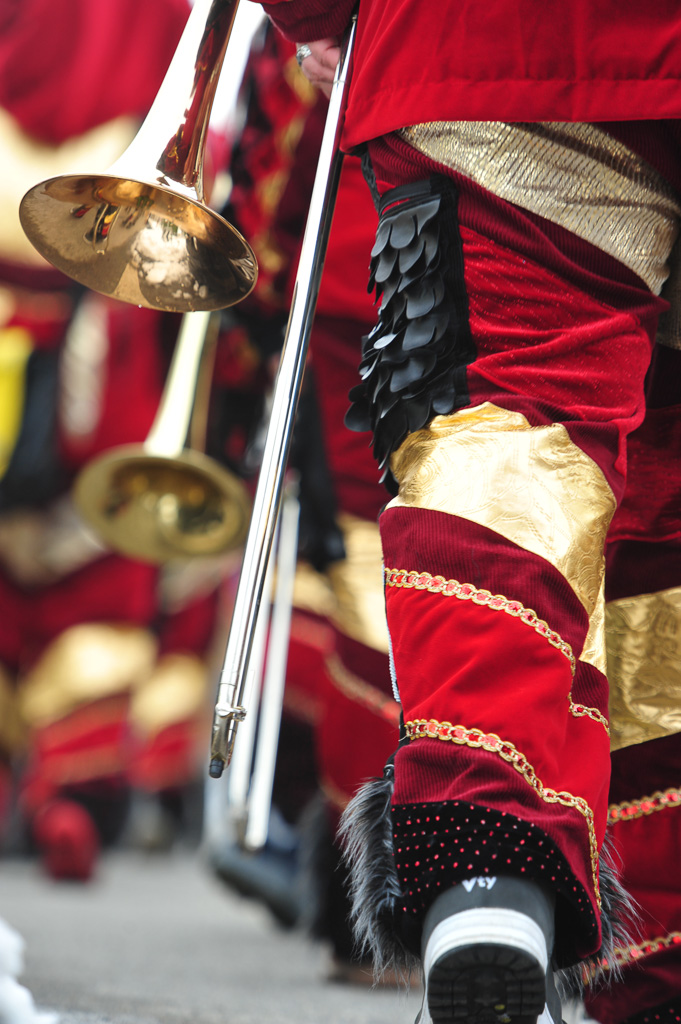 Umzug Hedingen 2015 / Hedingen - Zürich - Schweiz / 31.01.2015