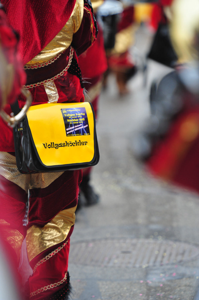 Umzug Hedingen 2015 / Hedingen - Zürich - Schweiz / 31.01.2015