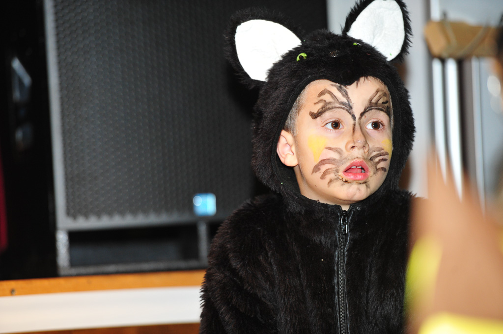 Umzug Hedingen 2015 / Hedingen - Zürich - Schweiz / 31.01.2015