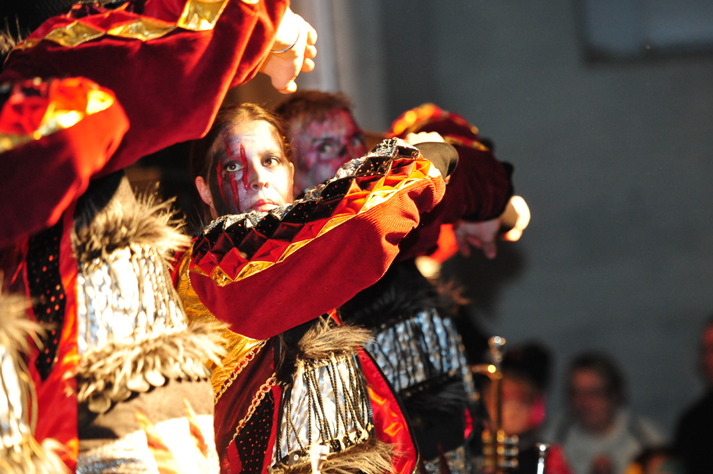 Umzug Hedingen 2015 / Hedingen - Zürich - Schweiz / 31.01.2015