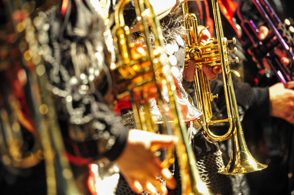 Umzug Hedingen 2015 / Hedingen - Zürich - Schweiz / 31.01.2015