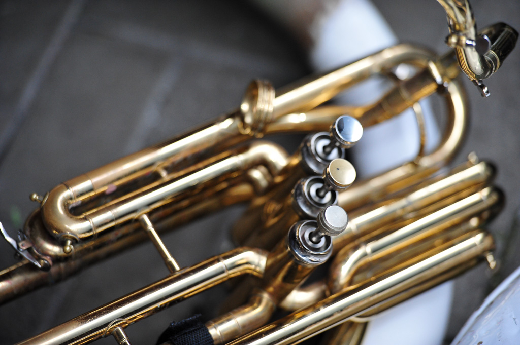 Umzug Hedingen 2015 / Hedingen - Zürich - Schweiz / 31.01.2015