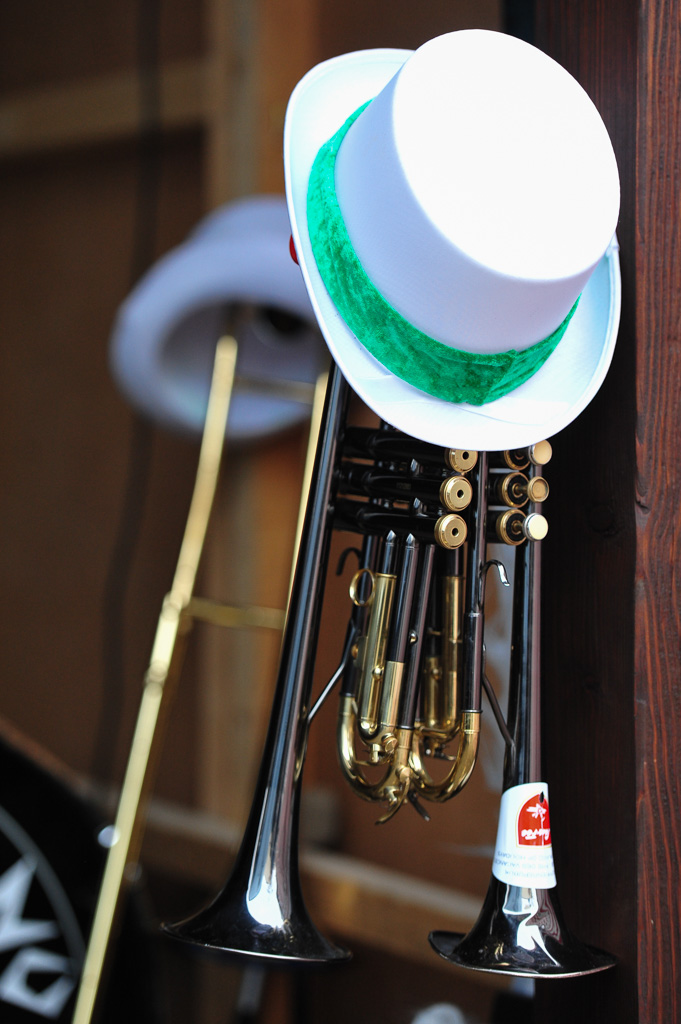 Umzug Hedingen 2015 / Hedingen - Zürich - Schweiz / 31.01.2015