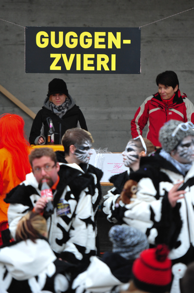 Umzug Hedingen 2015 / Hedingen - Zürich - Schweiz / 31.01.2015