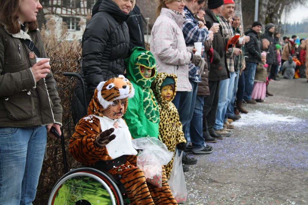 VGH Uerzliker Umzug Uslumpete 2012 016