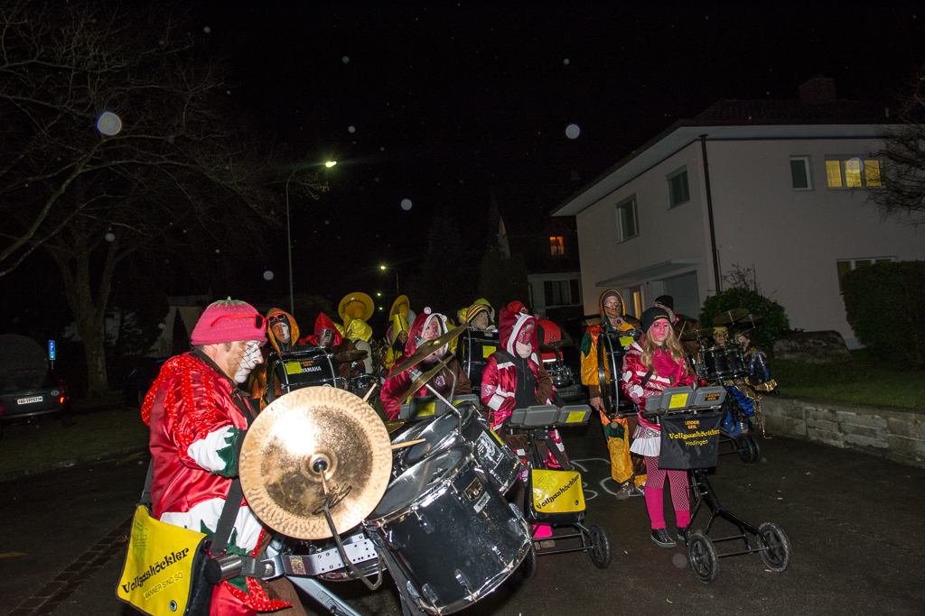 VGH_Monster_Muri_2014_klein-75