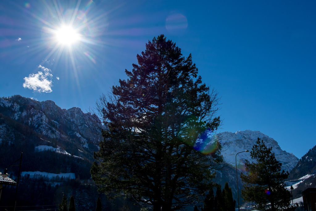 VGH_Valens_2014_klein-118