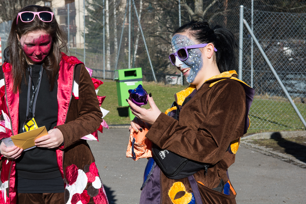 VGH_Valens_2014_klein-41