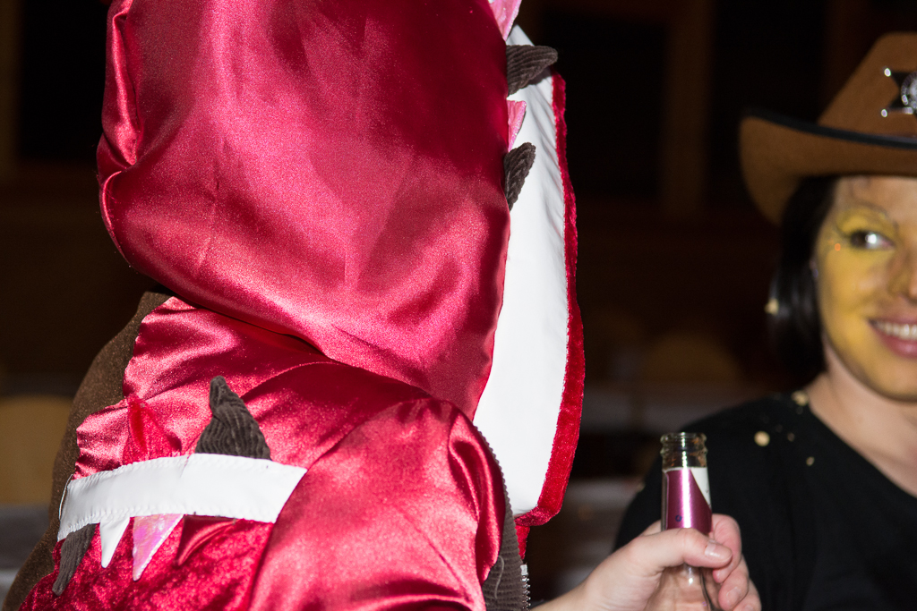 VGH_Valens_2014_klein-92