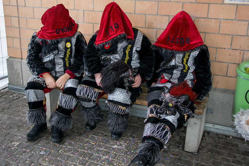 25.1.2015 - Umzug Dielsdorf