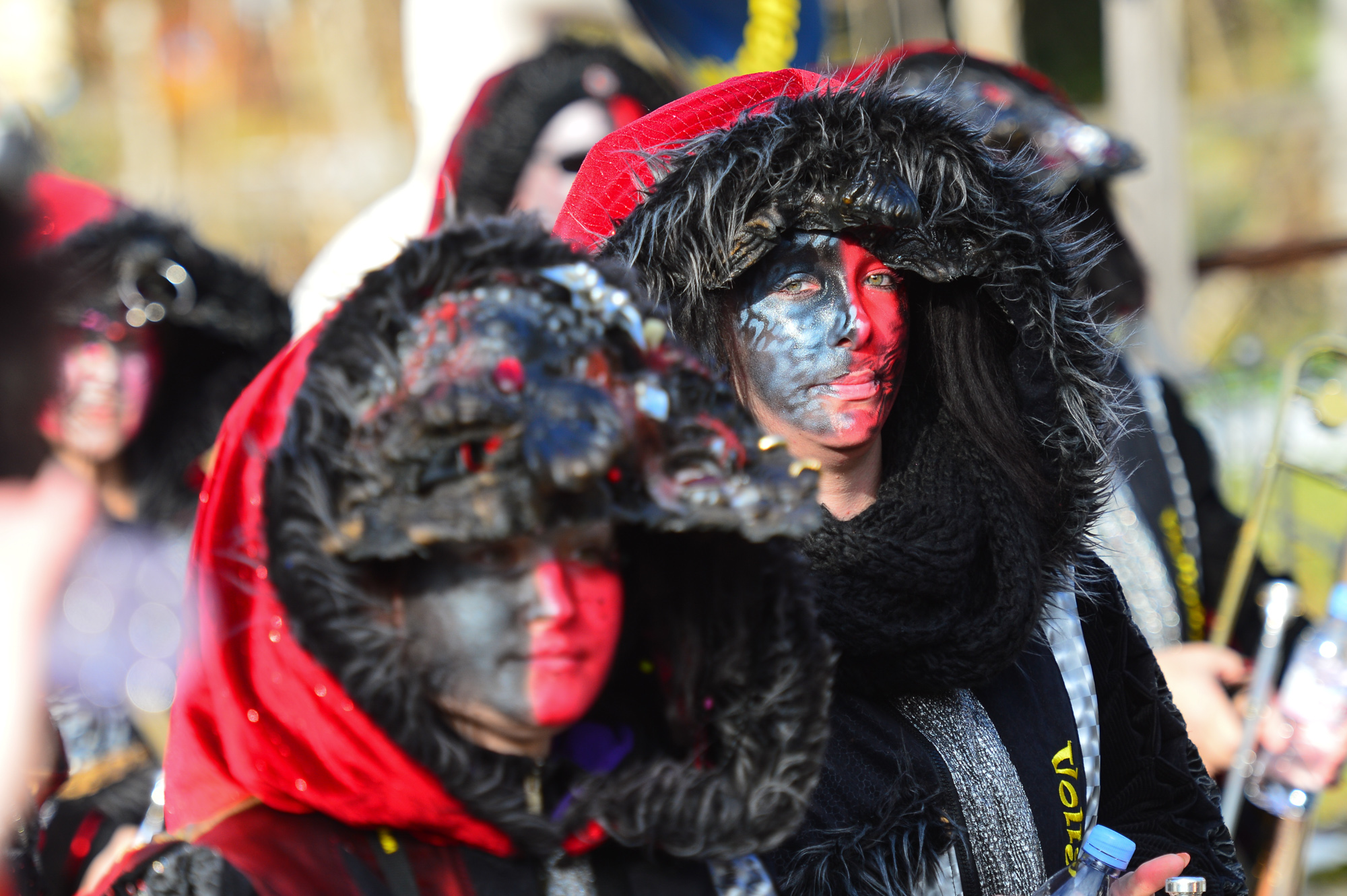 Umzug Hedingen 2016 / Hedingen - Zürich - Schweiz / 23.01.2016