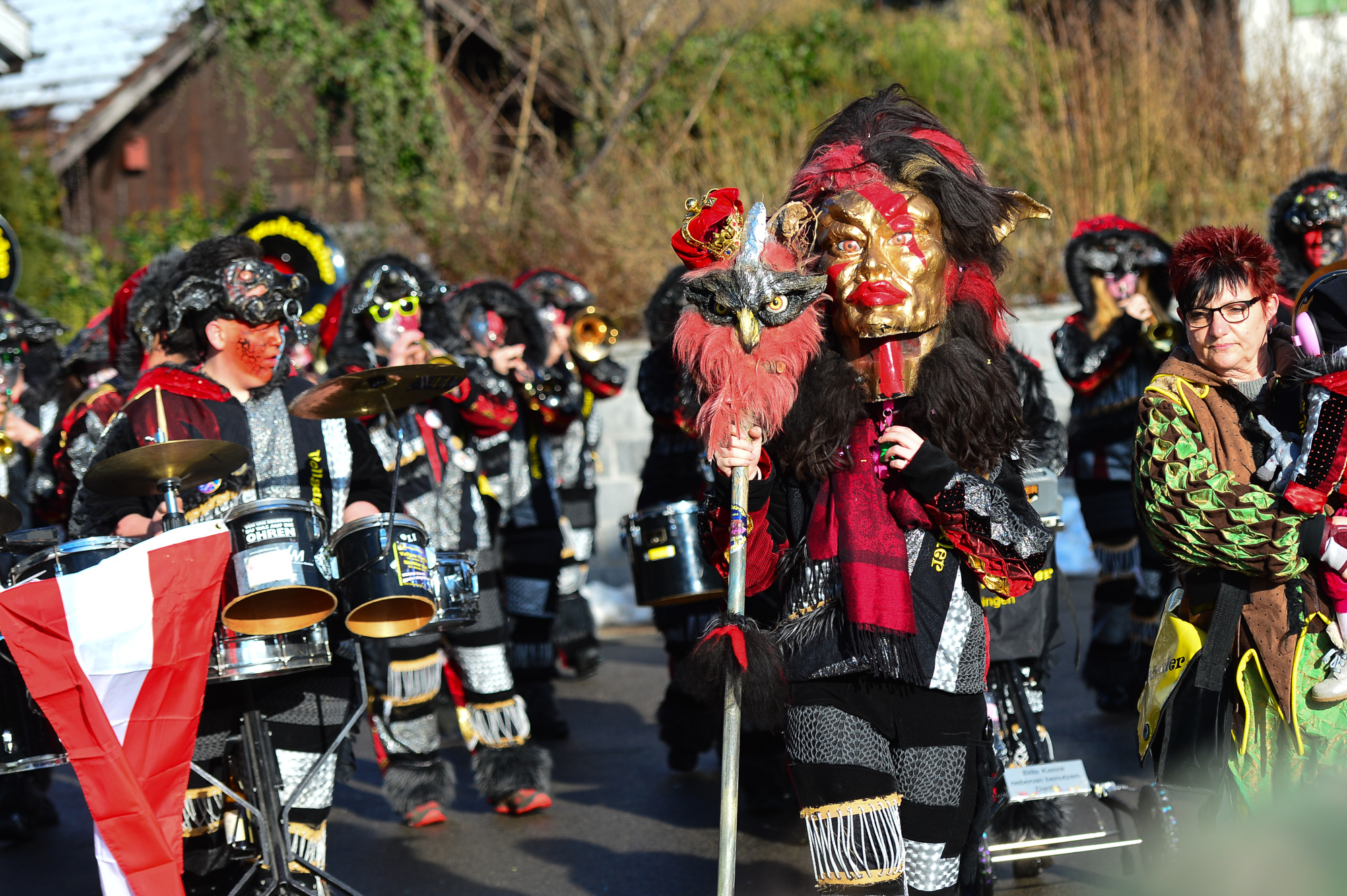 Umzug Hedingen 2016 / Hedingen - Zürich - Schweiz / 23.01.2016