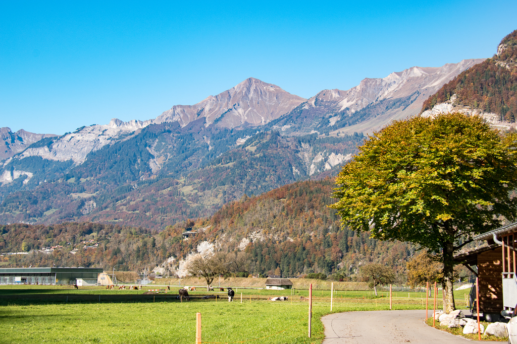 VGH_Probeweekend_2016-21