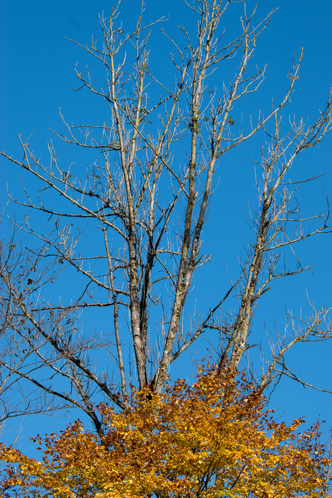 VGH_Probeweekend_2016-27