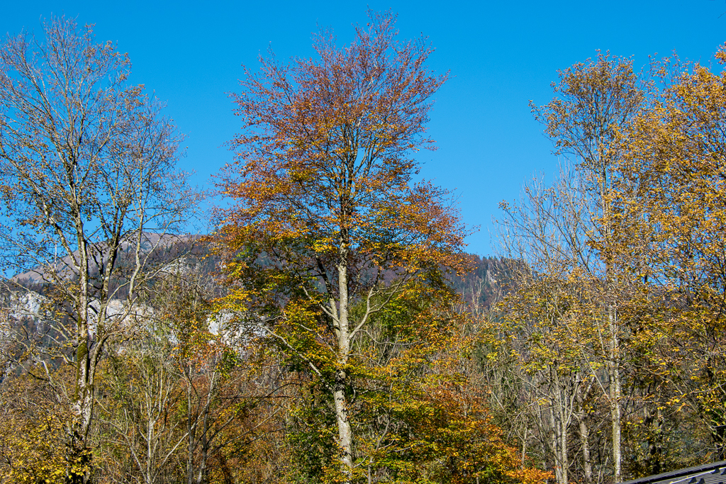 VGH_Probeweekend_2016-28