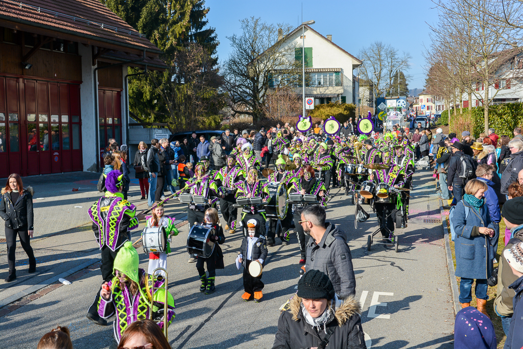 VGH_Umzug_Kindermaskenball_2017_klein-28