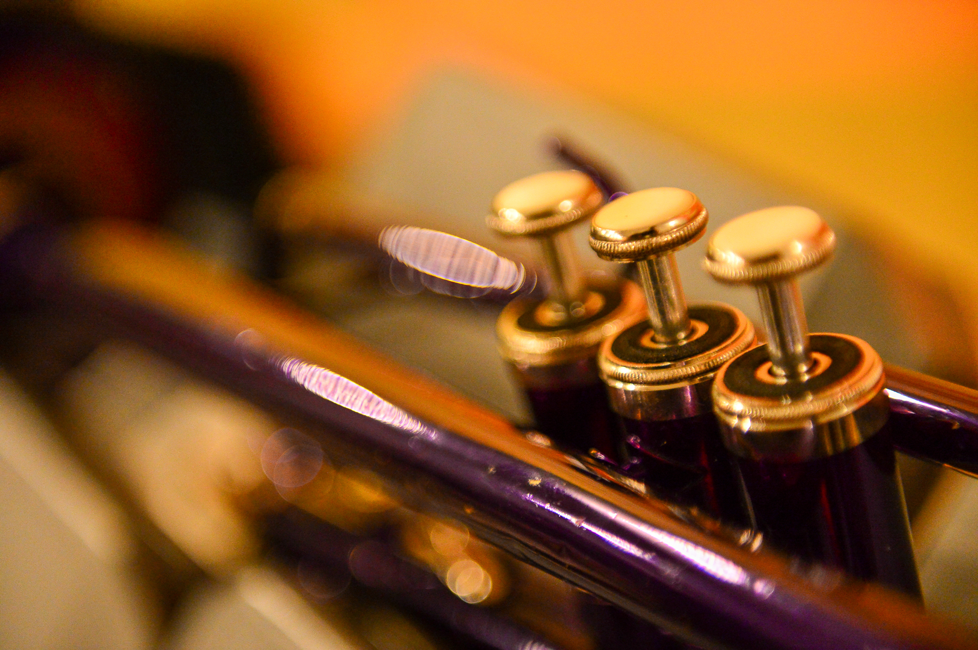 Höckler Ball 2017 / Hedingen - Schweiz by Rudi Eiermann v/o Pascha