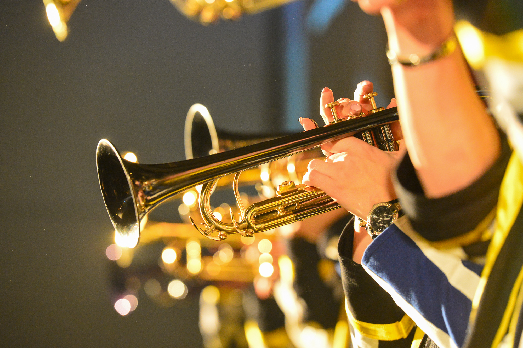 Höckler Ball 2017 / Hedingen - Schweiz by Rudi Eiermann v/o Pascha