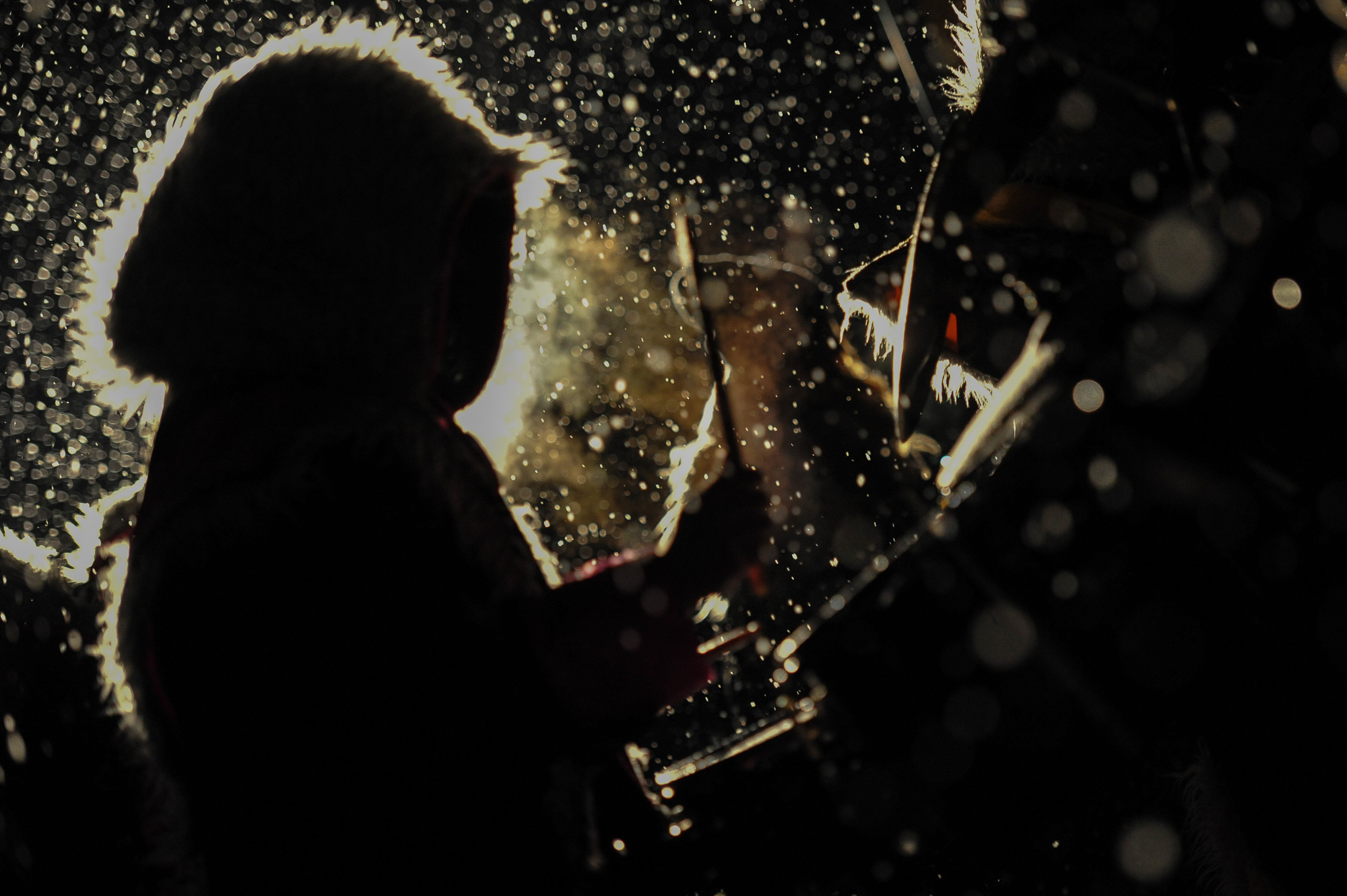 Höckler Ball 2015 / Hedingen - Zürich - Schweiz / 31.01.2015